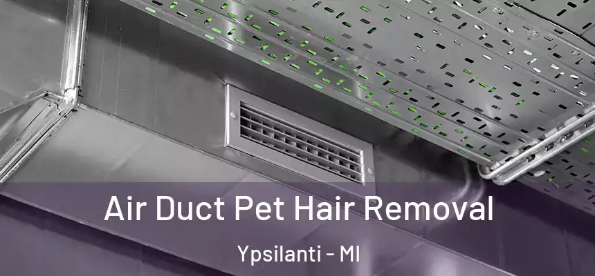 Air Duct Pet Hair Removal Ypsilanti - MI