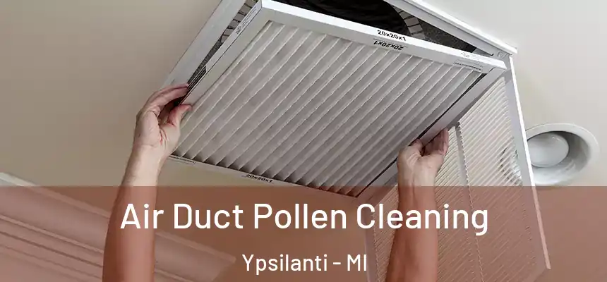  Air Duct Pollen Cleaning Ypsilanti - MI