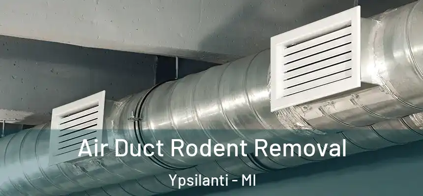  Air Duct Rodent Removal Ypsilanti - MI