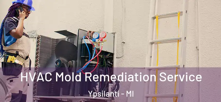HVAC Mold Remediation Service Ypsilanti - MI