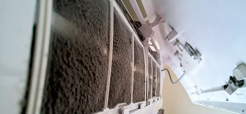 Preventive Air Duct Bacteria Removal in Ypsilanti