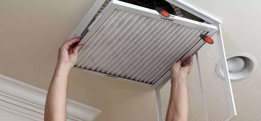 Preventive Cockroach-Proofing for Ducts in Ypsilanti