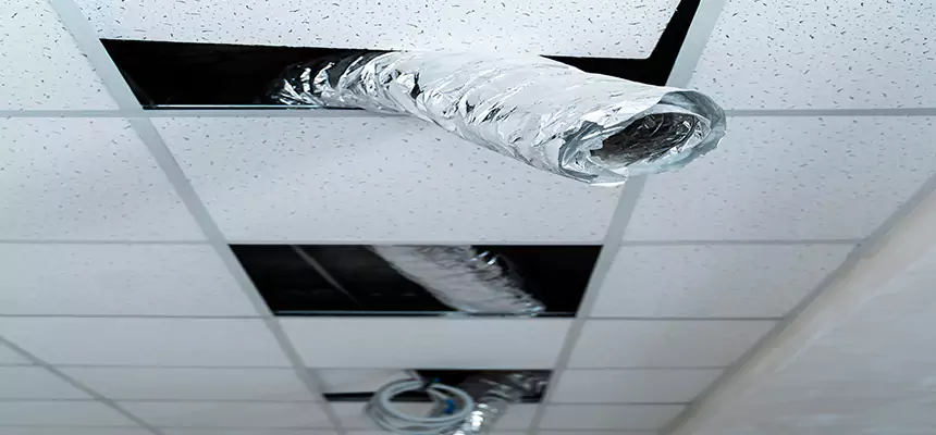 Affordable HVAC Sanitizing After Pest Removal in Ypsilanti