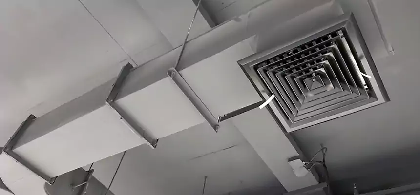 Restorative Allergy Relief Vent Cleaning – Coil, Blower & Housing Detail in Ypsilanti