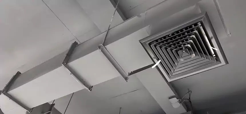 Our Pest Removal From Ducts Services in Ypsilanti, MI