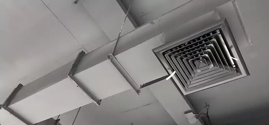 Our Rodent Droppings In Vents Services in Ypsilanti, MI