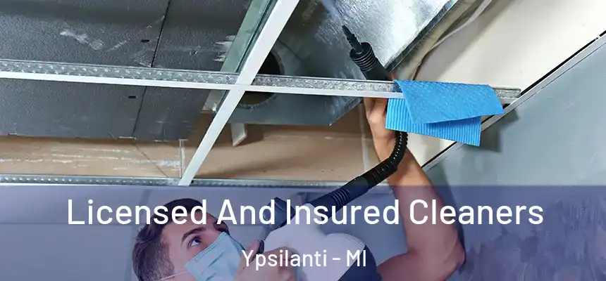  Licensed And Insured Cleaners Ypsilanti - MI