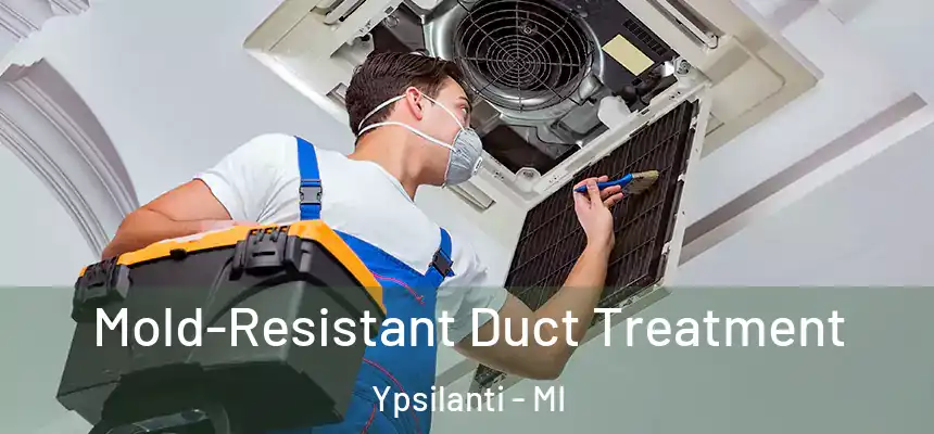  Mold-Resistant Duct Treatment Ypsilanti - MI