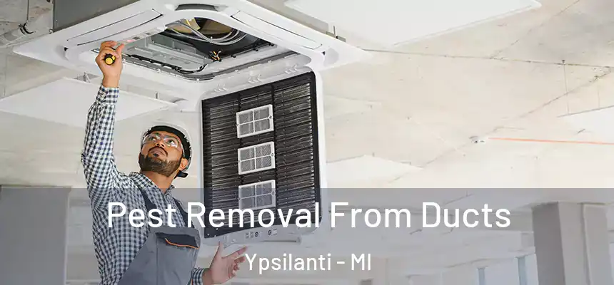  Pest Removal From Ducts Ypsilanti - MI