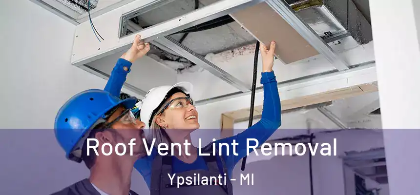 Roof Vent Lint Removal Ypsilanti - MI