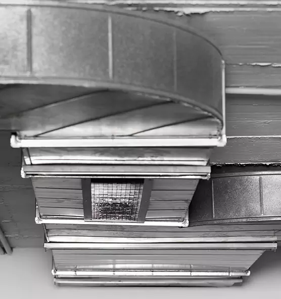 Professional Air Duct Pest Removal in Ypsilanti, MI