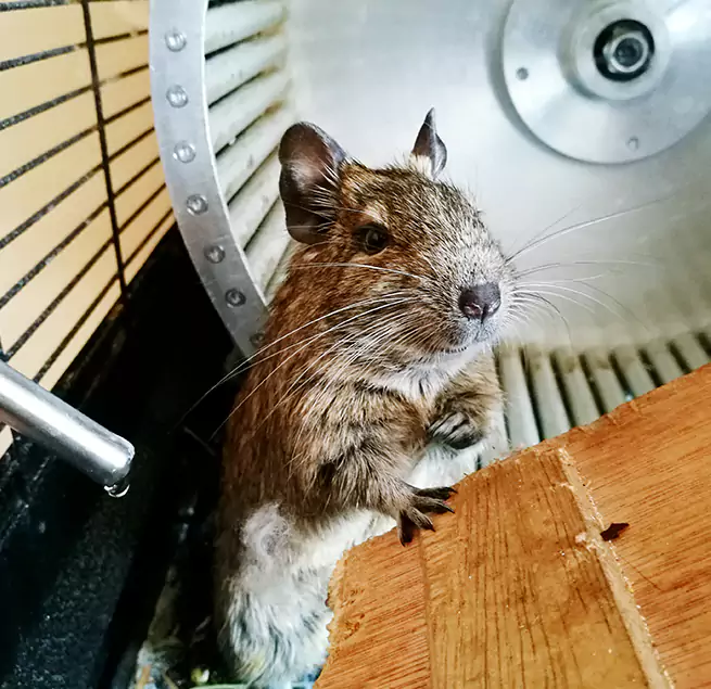 Why Homeowners & Businesses Trust Us Ypsilanti, MI?